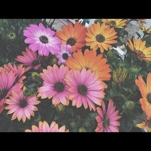 Meet your Posher, Keara